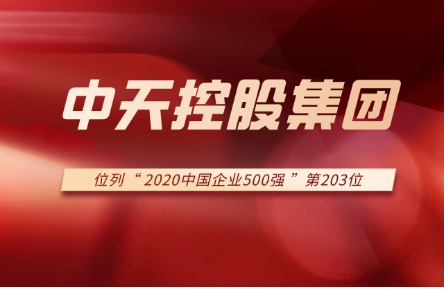 EZPay集团列2020中国企业500强第203位！